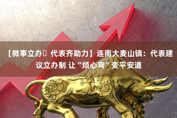 【微事立办・代表齐助力】连南大麦山镇：代表建议立办制 让“烦心弯”变平安道